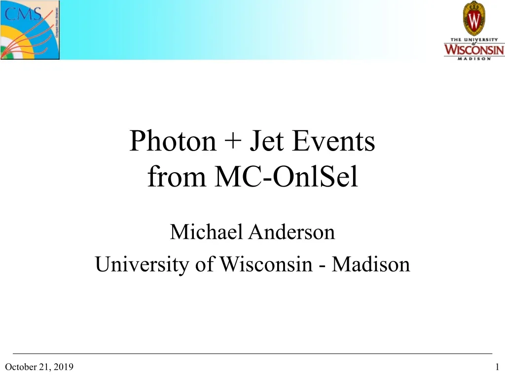 photon jet events from mc onlsel