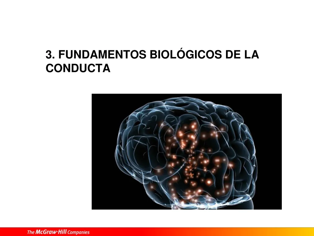 3 fundamentos biol gicos de la conducta