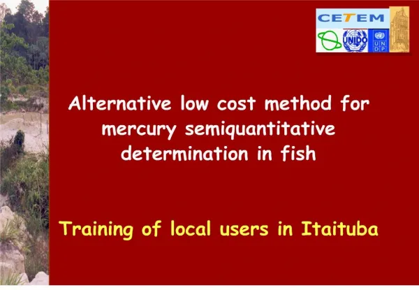 Alternative low cost method for mercury semiquantitative determination in fish Training of local users in Itaituba