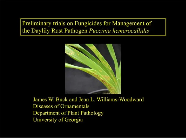 Preliminary trials on Fungicides for Management of the Daylily Rust Pathogen Puccinia hemerocallidis