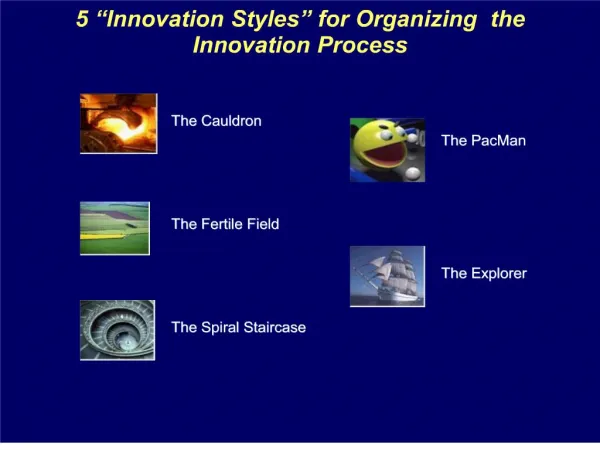 5 Innovation Styles for Organizing the Innovation Process