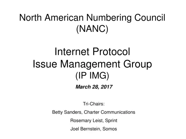 North American Numbering Council (NANC) Internet Protocol Issue Management Group (IP IMG)