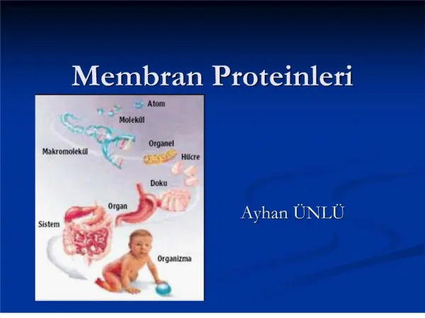 Membran Proteinleri