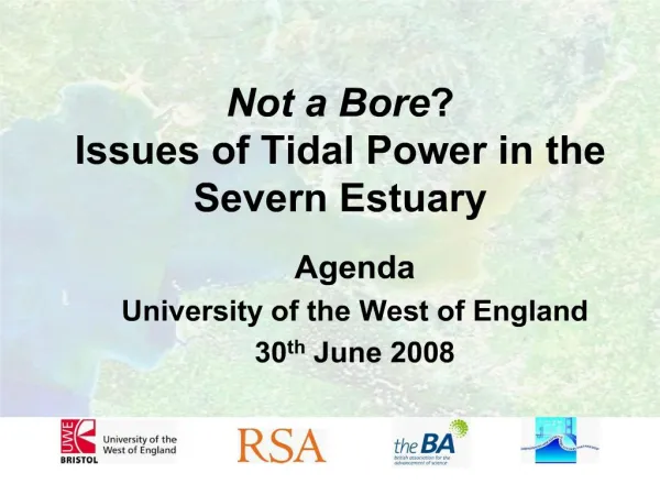 Not a Bore Issues of Tidal Power in the Severn Estuary
