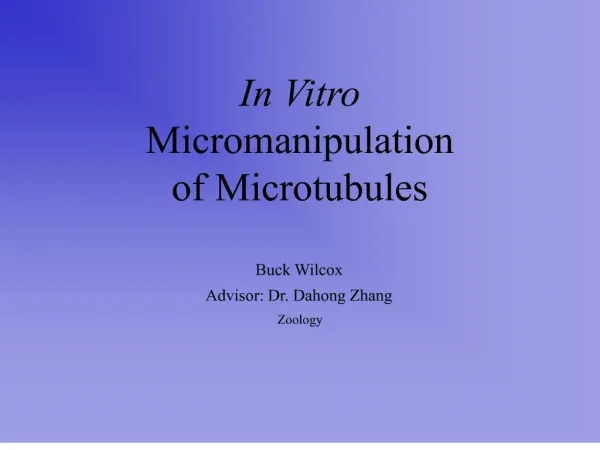In Vitro Micromanipulation of Microtubules