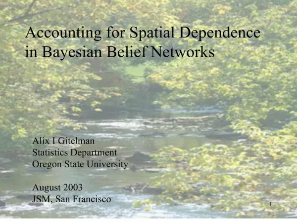 Accounting for Spatial Dependence in Bayesian Belief Networks