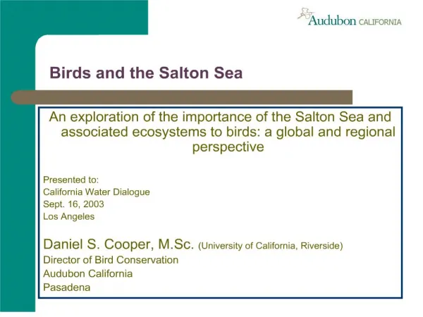 Birds and the Salton Sea