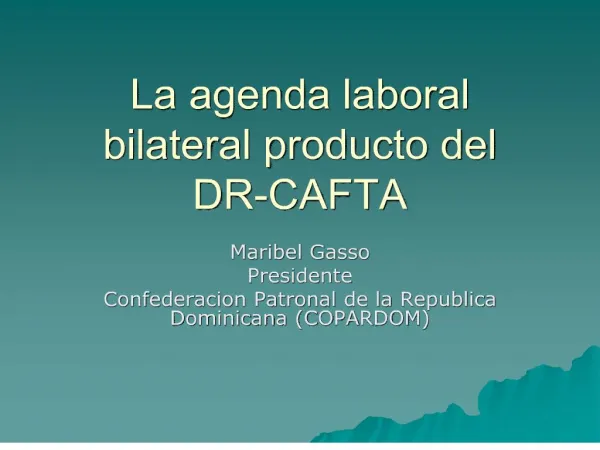 La agenda laboral bilateral producto del DR-CAFTA