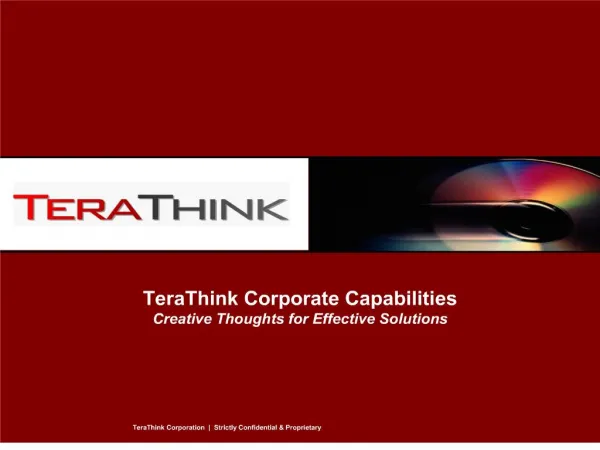 TeraThink Corporate Capabilities Creative Thoughts for Effective Solutions