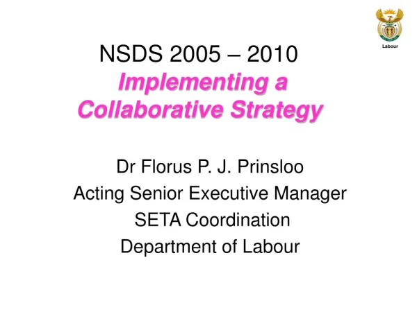NSDS 2005 – 2010 Implementing a Collaborative Strategy