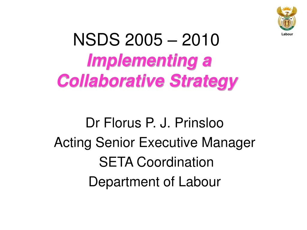 nsds 2005 2010 implementing a collaborative strategy