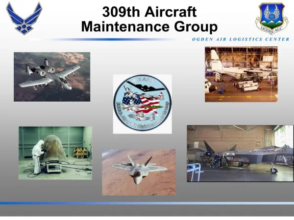 309th Aircraft Maintenance Group