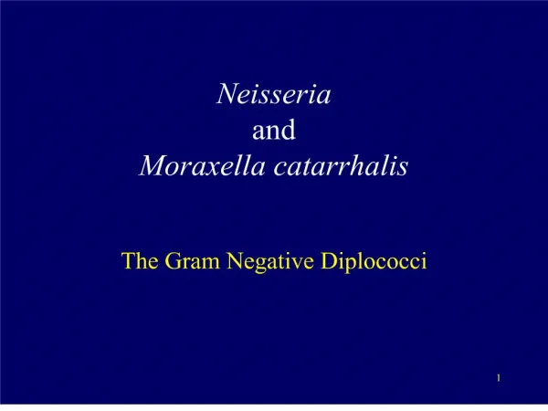 Neisseria and Moraxella catarrhalis