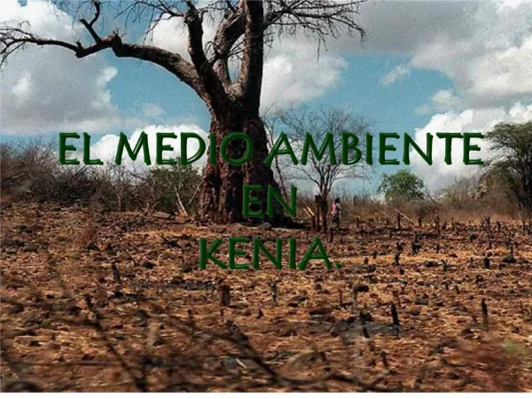 EL MEDIO AMBIENTE EN KENIA.