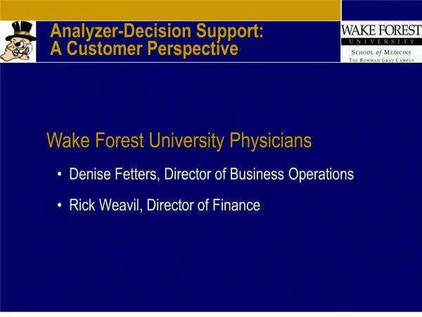 Analyzer-Decision Support: A Customer Perspective