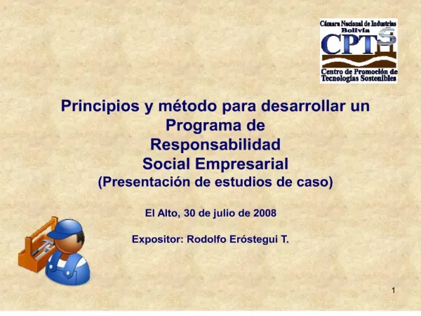 Principios y m todo para desarrollar un Programa de Responsabilidad Social Empresarial Presentaci n de estudios de caso
