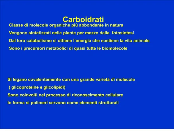 Carboidrati