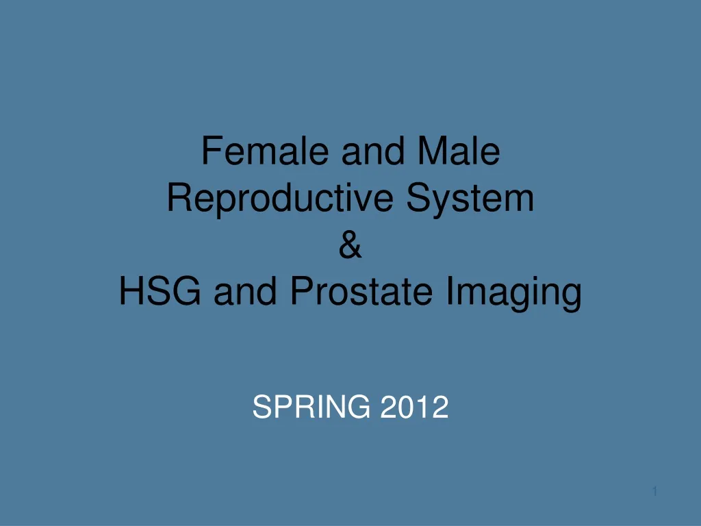 female and male reproductive system hsg and prostate imaging