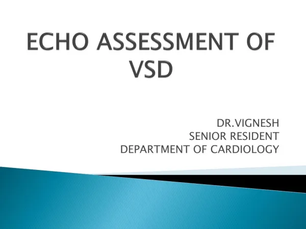 ECHO ASSESSMENT OF VSD