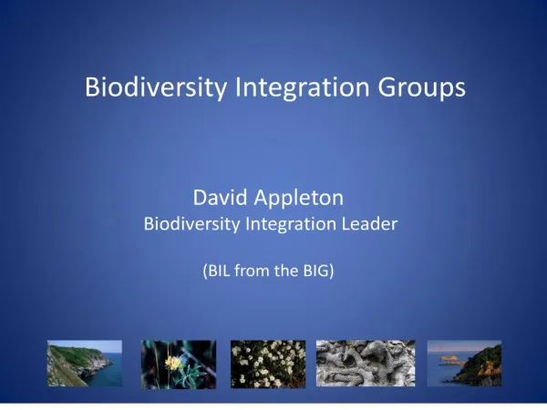 Biodiversity Integration Groups