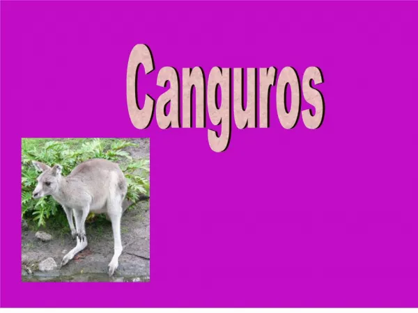 Canguros