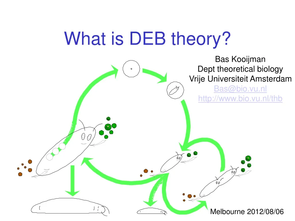 what is deb theory