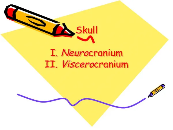 Skull I. Neuro cranium II. Viscero cranium