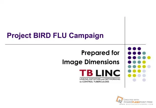 Project BIRD FLU Campaign