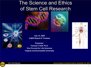 The Science and Ethics of Stem Cell Research
