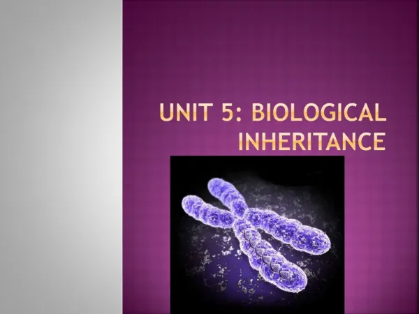 Unit 5: biological inheritance