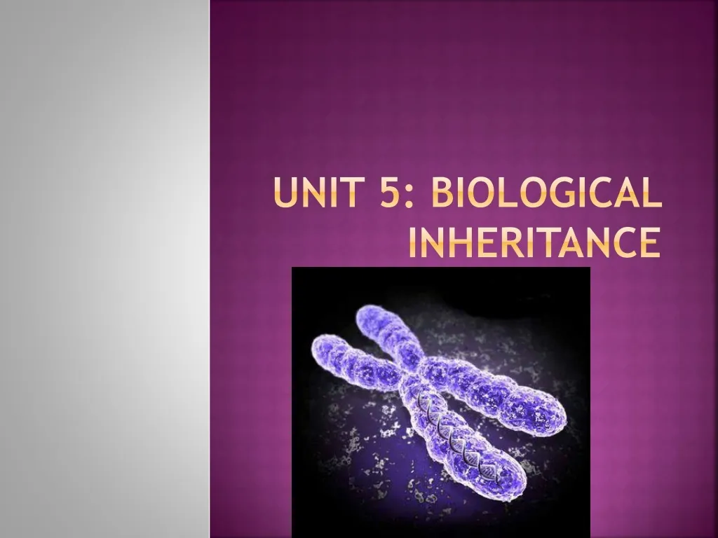 unit 5 biological inheritance