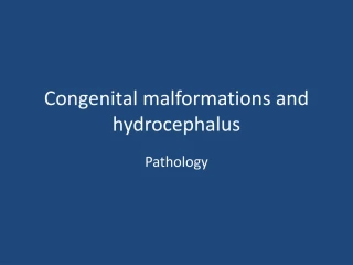Congenital malformations and hydrocephalus - slide 1