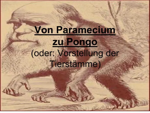 Von Paramecium zu Pongo oder: Vorstellung der Tierst mme
