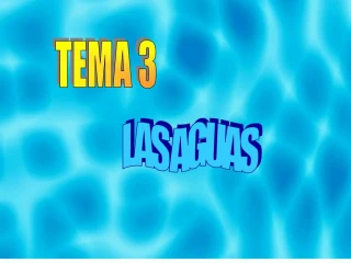 TEMA 3 - slide 1