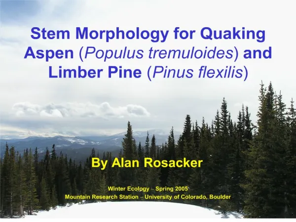 Stem Morphology for Quaking Aspen Populus tremuloides and Limber Pine Pinus flexilis