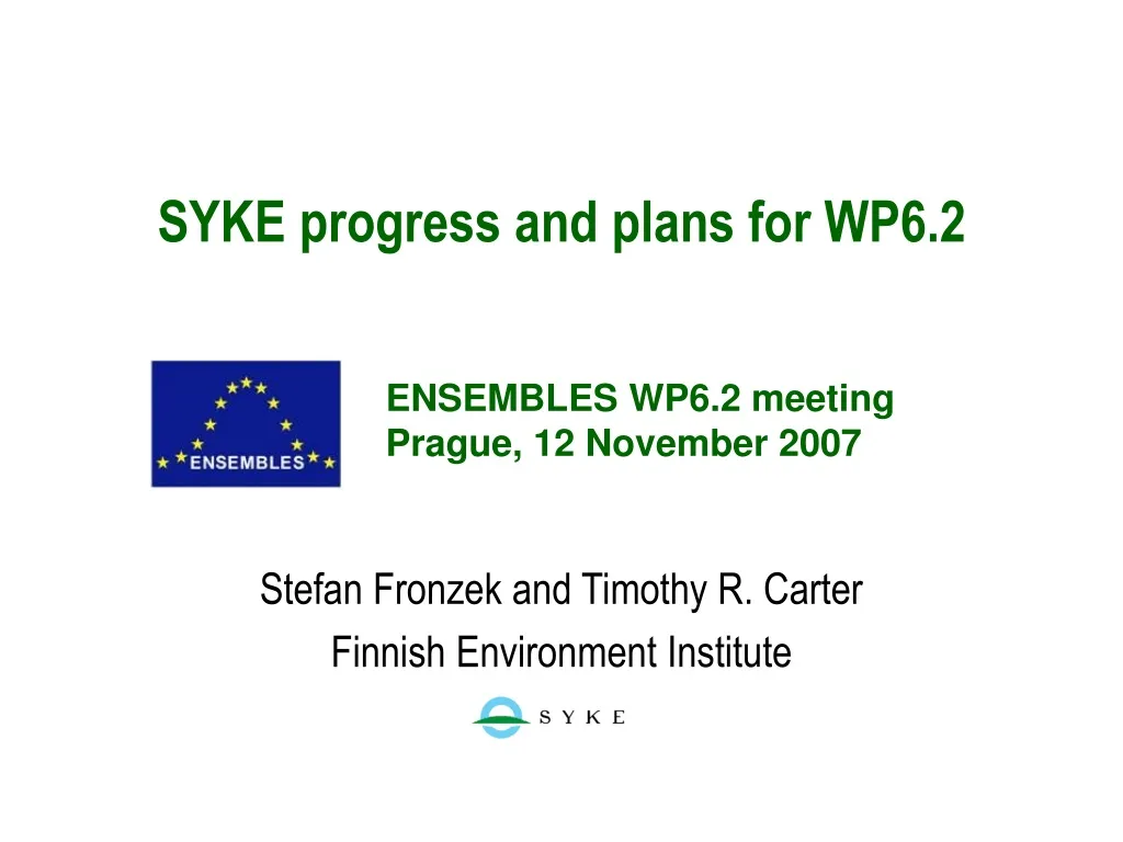 syke progress and plans for wp6 2