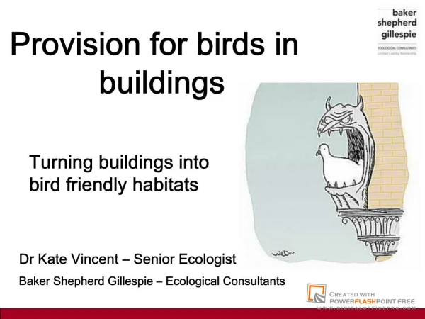 Provision for birds in buildings