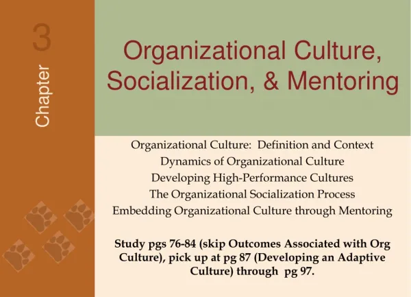 Organizational Culture, Socialization, &amp; Mentoring