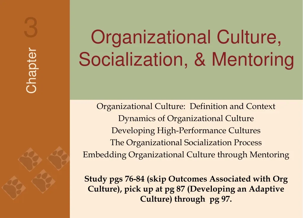 organizational culture socialization mentoring