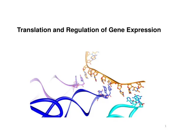 Translation and Regulation of Gene Expression