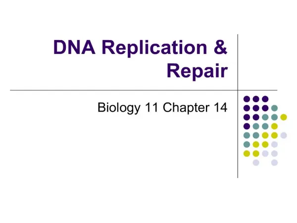 DNA Replication Repair