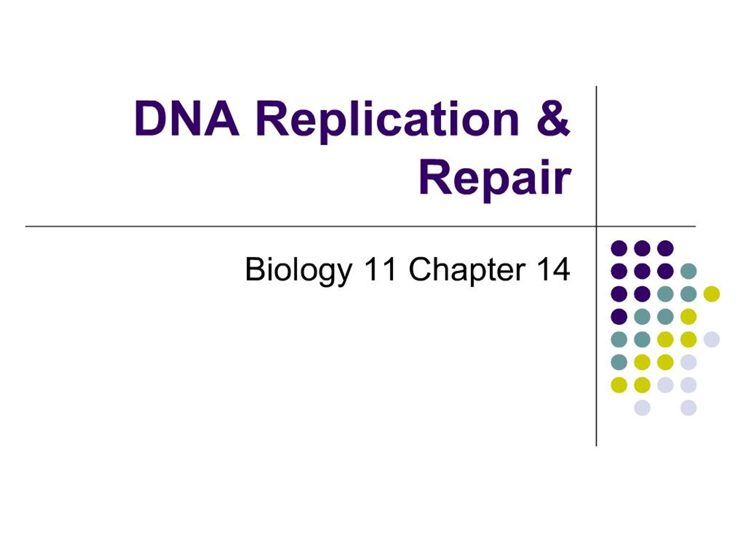 PPT - DNA Replication Repair PowerPoint Presentation, free download ...