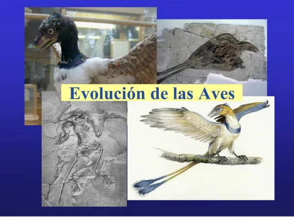 Evoluci n de las Aves