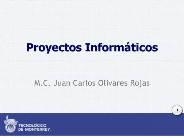Proyectos Inform ticos