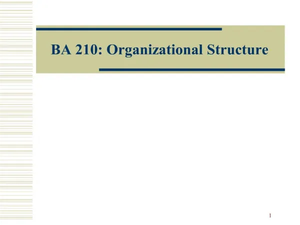 BA 210: Organizational Structure