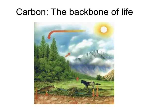 Carbon: The backbone of life