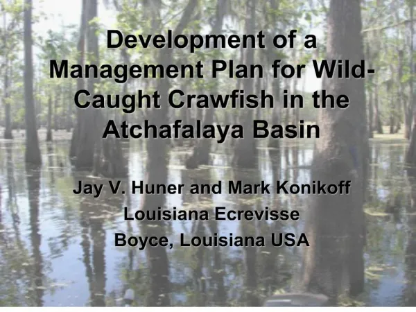 Development of a Management Plan for Wild-Caught Crawfish in the Atchafalaya Basin