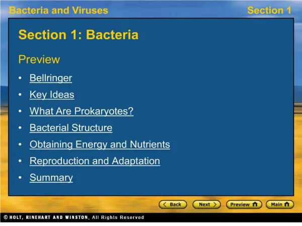 Section 1: Bacteria