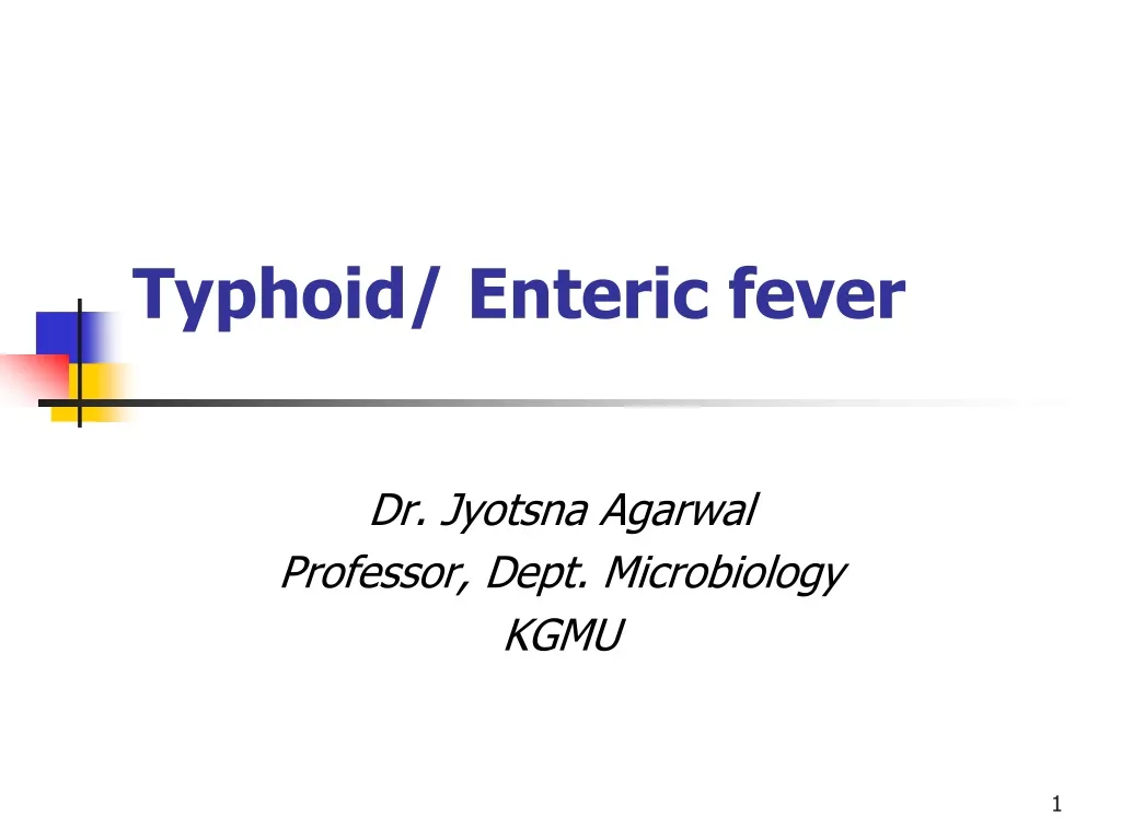 typhoid enteric fever