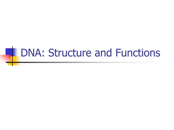 DNA: Structure and Functions